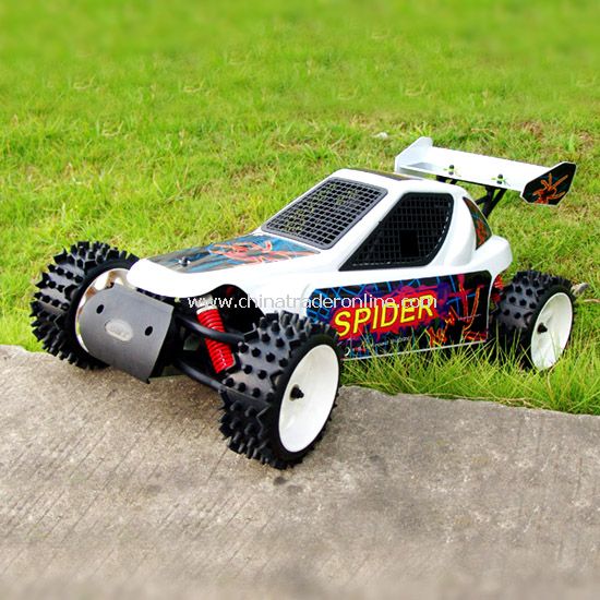 1:5 scale 2wd off-road buggy - SPIDER from China