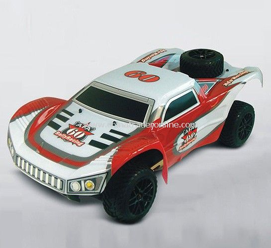 1:5th Scale Gasoline Rally Car from China