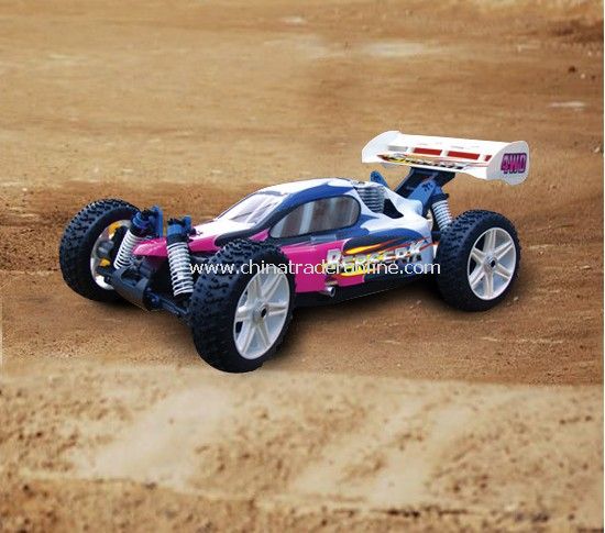 1:8 scale 4WD nitro off-road buggy-berserk from China