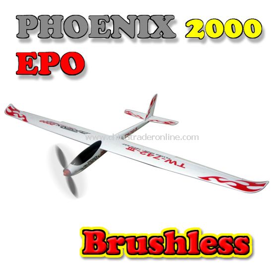 2.4G 6-CH brushless Model plane PHOENIX 2000 EPO from China