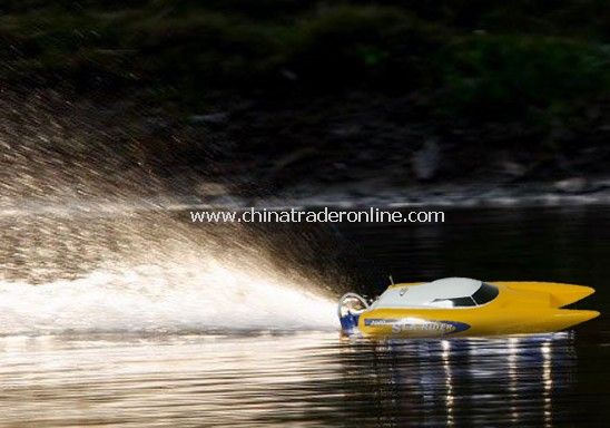 brushless motor mini catamaran boat