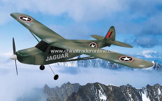 rc JAGUAR from China