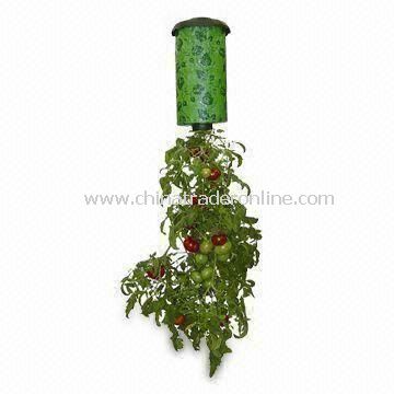 Topsy-turvy Planter, Works with Fresh Herbs and Cucumbers, Suitable for Small Spaces from China