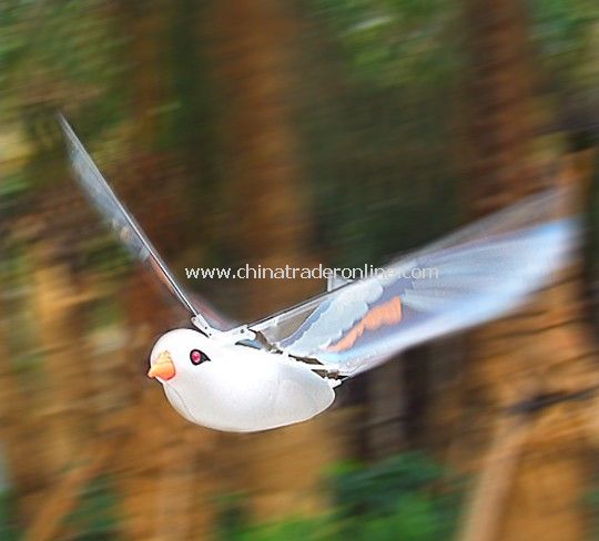 Radio controlled amazing flying pigeon from China