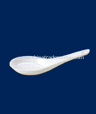 WHITE PORCELAIN SPOON