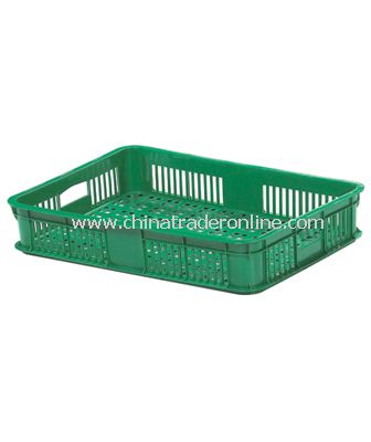 BASKET from China