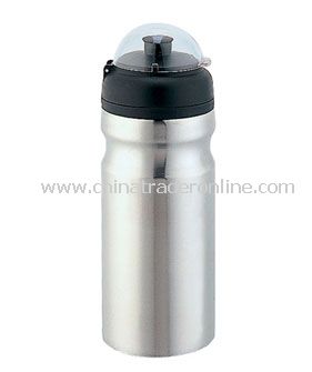 Sports Bottle