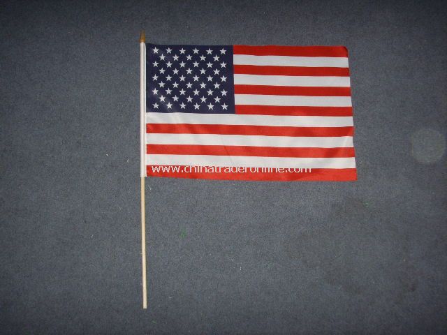 USA Hand Flag