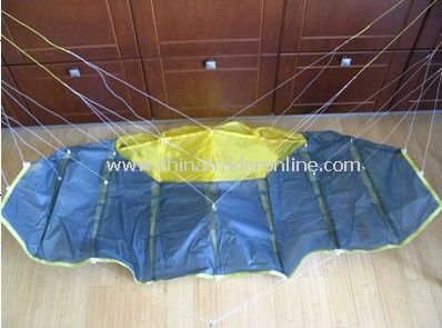 Buggy kite from China