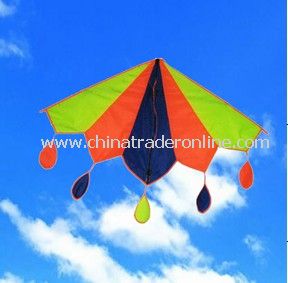 Delta kite from China