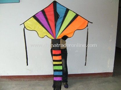 Delta kite from China