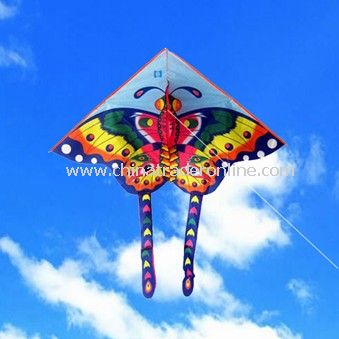 kids kite from China