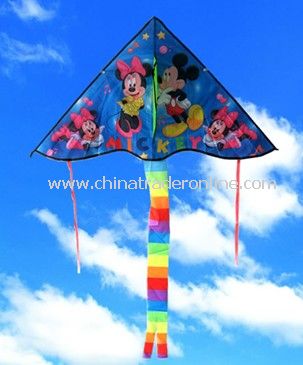 kids kite from China