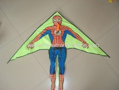 kids kite from China