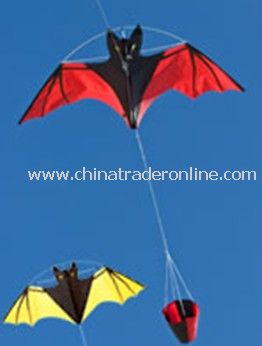 New bat kite