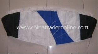 power kite from China