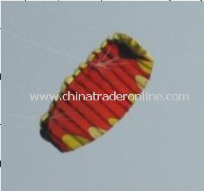 power kite from China