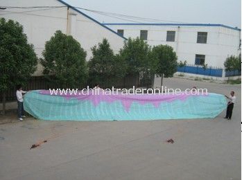 power kite from China