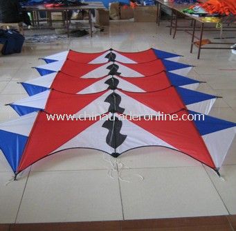 quad line kite from China