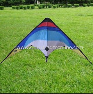 stunt kite from China