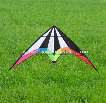 stunt kite from China