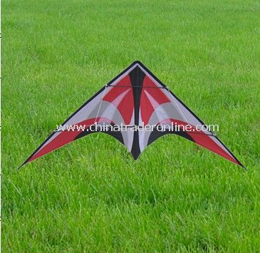 stunt kite from China