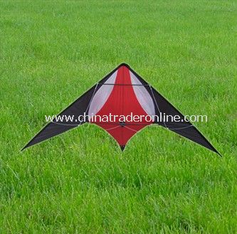 stunt kite from China