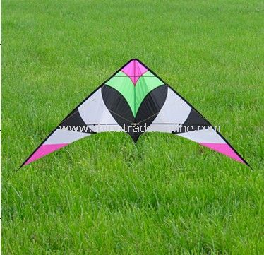 stunt kite from China