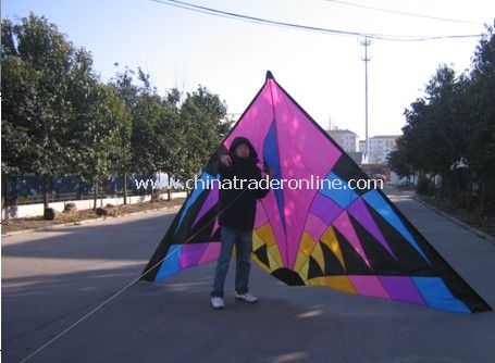 big kite from China