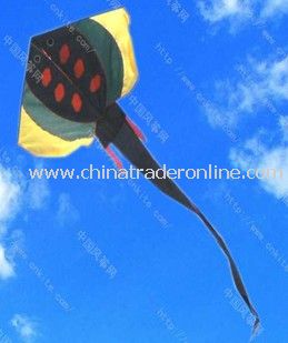 dealfish kite