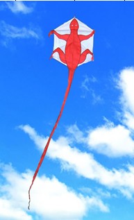 lizard kite from China