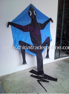 New lizard kite from China