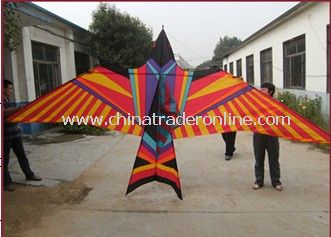 sky bird kite