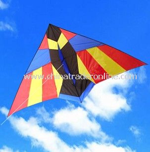 Sun bird kite from China