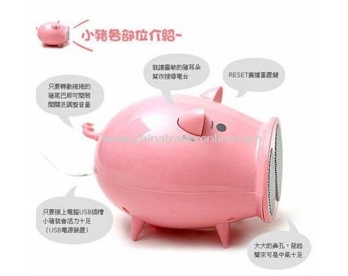 New Arrival piggy wireless Hifi radio from China