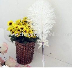 2011 New arrival Super ostrich wool sign-in pen sign-in pen/wedding things gift/business/party sign-in pen from China