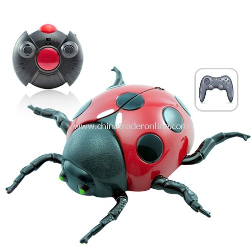 Wall Climbing RC Toy - Lady Bug - Anti Gravity from China