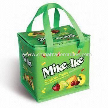 Picnic Cooler Bag, Made of Printed PE, OEM Orders are Welcome, Suitable for Promotional Purposes