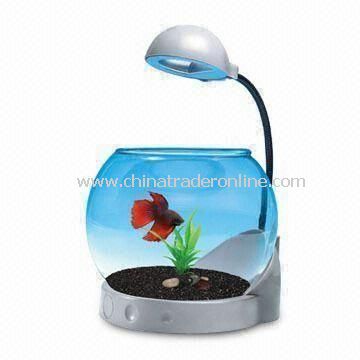 Fish Tank, Suitable for Mini/Desktop/Bed Room Betta Bowl/Office Decorations from China