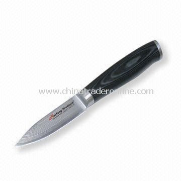 3.5-inch Paring Knife with Micarta Handle and Laminated Finish from China