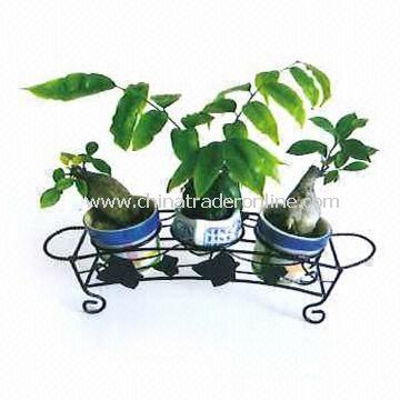 Metal Plant Rack Holds Three Flower Pots with Powder Coating from China