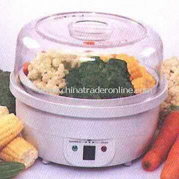 3-in-1 Steamer Cooker with Dehydrator from China