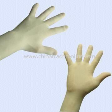 Quality Latex Exmination and Surgical Gloves from China