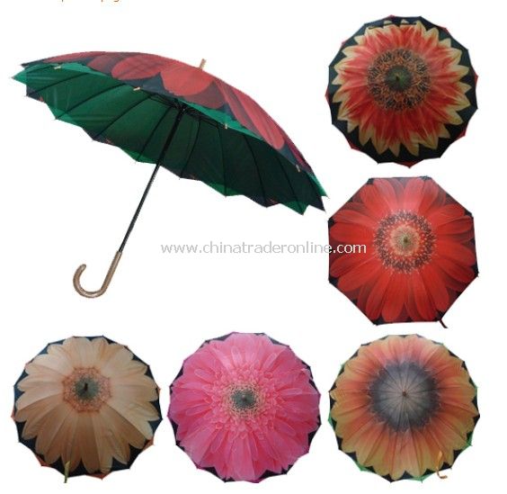 Big Flower Printed Double Canopy Straight Umbrella from China