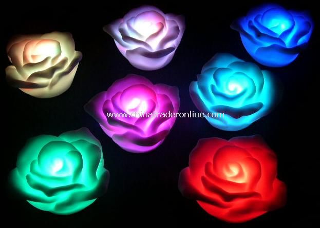 Flashing Rose from China