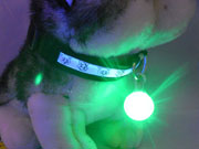 LED Light Pet Collar