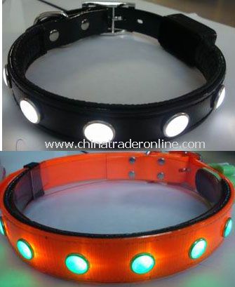 LED Pet Collar from China