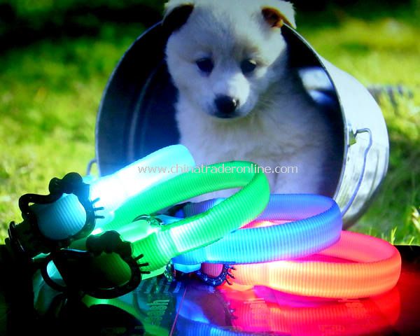 LED Pet Collar from China