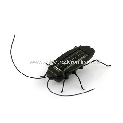 Solar Power Energy Cockroach Fun Gadget Office School from China