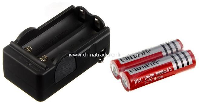 Rechargeable 18650 Lithium Battery Travel Charger with 2pcs 18650 3000mAh PCB Batteries